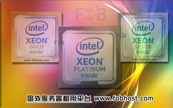 提升网络效率和安全性：国外主机租用平台的重要性
