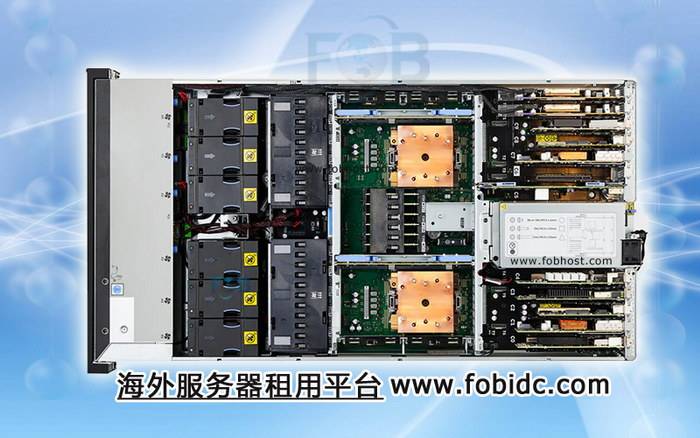 了解斯里兰卡VPS如何成为南亚数字业务发展的关键推动力