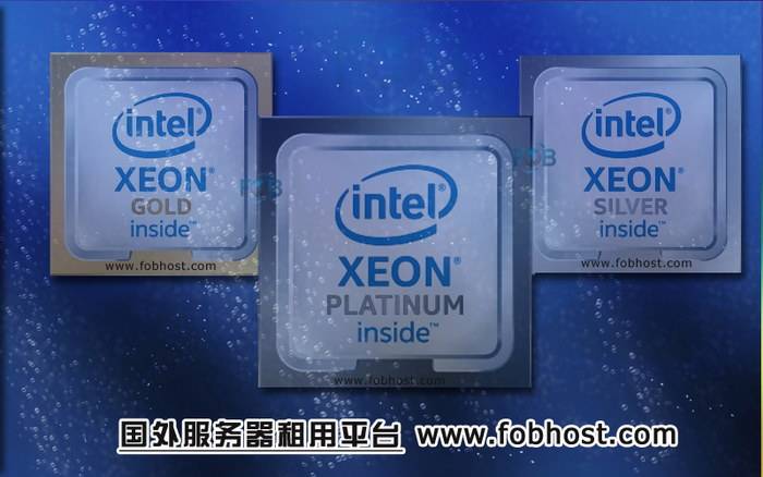 全面了解芬兰VPS的租用费用、配置和性能表现